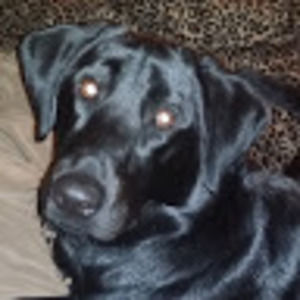 Meet your Posher, Tonya